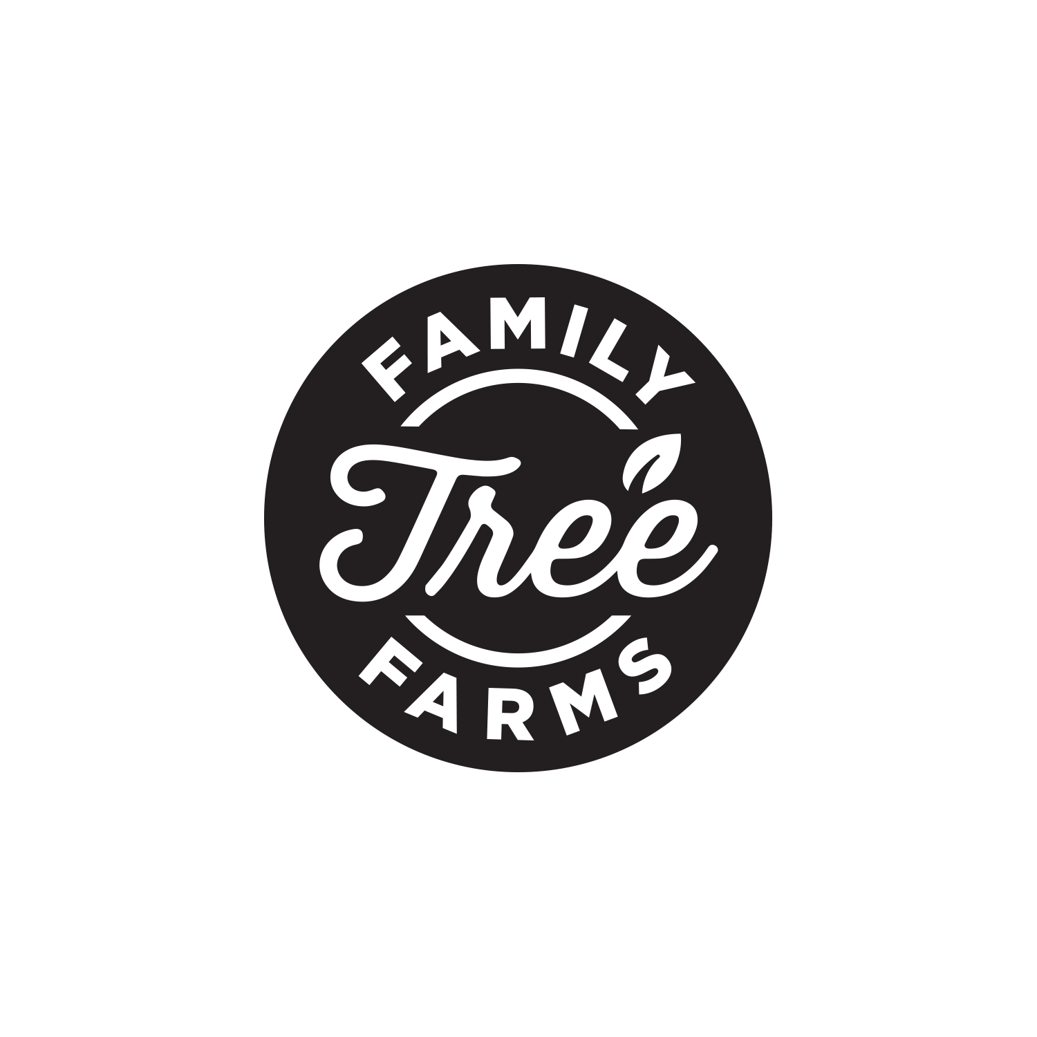 Creative Fang Studio in Fresno CA - Logo Design, Branding