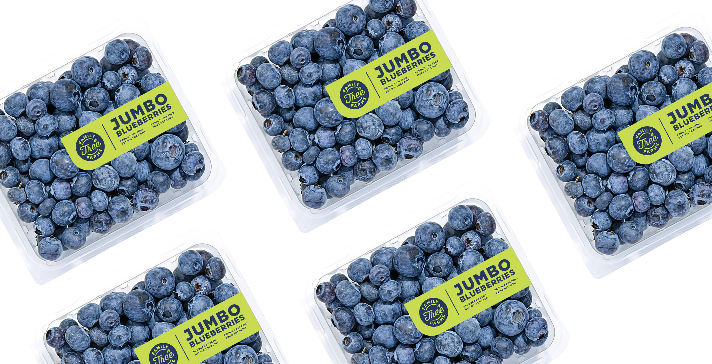 Family Tree Farms - Blueberries