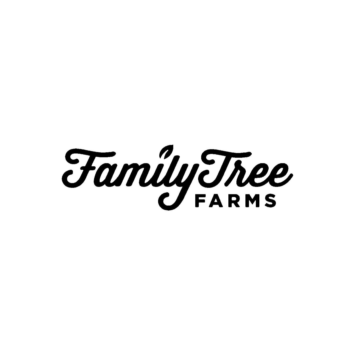 Creative Fang Studio in Fresno CA - Logo Design, Branding, Identity